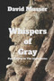 Whispers of Gray : Part 2 of the Keep in the Light Universe : 2 by David Musser - Paperback