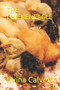 The Chickeneagle by Irvina Calvert - Paperback