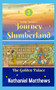 Little Nemo's Journey to Slumberland : The Golden Palace by Nathaniel Matthews - Paperback