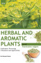 HERBAL AND AROMATIC PLANTS - Foeniculum vulgare (SAUNF)