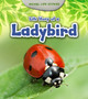 Life Story of a Ladybird