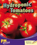 Hydroponic Tomatoes Hydroponic Tomatoes