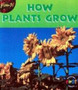How Plants Grow