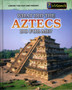 What Did the Aztecs Do For Me?