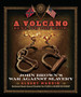 A Volcano Beneath the Snow : John Brown's War Against Slavery