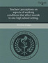 Teachers' Perceptions on Aspects of Working Conditions That Affect Morale in One High School Setting