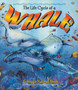 The Life Cycle of the Whale