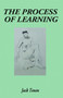 The Process of Learning