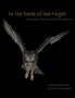 In the Dark of the Night : A Journey in the Secret Life of the Eagle Owl