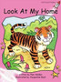 Red Rocket Readers : Pre-Reading Fiction Set A: Look at My Home (Reading Level 1/F&P Level A)