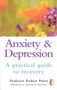 Anxiety & Depression : A Practical Guide to Recovery