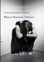 Understanding Domestic Violence : What is Domestic Violence