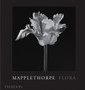 Mapplethorpe Flora : The Complete Flowers by Robert Mapplethorpe - Hardback