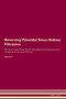 Reversing Pilonidal Sinus : Kidney Filtration The Raw Vegan Plant-Based Detoxification & Regeneration Workbook for Healing Patients.Volume 5