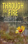 Through the Fire : Spiritual Restoration for Adult Victims of Childhood Sexual Abuse