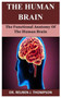 The Human Brain : The Functional Anatomy Of The Human Brain