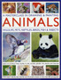 Masterclass in Drawing & Painting Animals by Jonathan & Hoggett Sarah Truss - Hardback