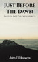 Just Before the Dawn : Tales of Late Colonial Africa