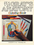 Gray's Anatomy Coloring Book by Henry Gray - Paperback