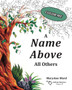 A Name Above All Others by Maryann Ward - Paperback