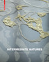 Intermediate Natures : The Landscapes of Michel Desvigne