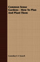 Common Sense Gardens - How To Plan And Plant Them