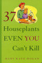 37 Houseplants Even You Can't Kill