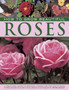 How to Grow Beautiful Roses : A Practical Guide to Growing, Caring for and Maintaining Roses, Shown in Over 275 Glorious Photographs