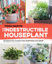 Indestructible Houseplant