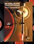 DIE SCHALLPLATTE Vinyl LP Single - Mein Sammelbuch by Uwe H Sultz - Paperback