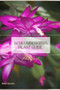 Schlumbergera Plant Guide : Plant Guide