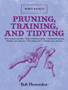 Pruning, Training, and Tidying : Bob's Basics