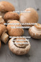 Mushroom Cultivation for Beginners : Methods to Master Your Mushroom Growing Skills
