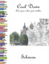 Cool Down - Livro para colorir para adultos : Schwerin by York P. Herpers - Paperback