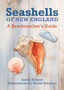 Seashells of New England : A Beachcomber's Guide