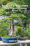 Bonsai For Beginners : How To Grow Breathtaking Bonsai