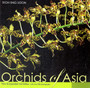 Orchids of Asia