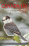 Canada Jay, The : The National Bird of Canada?