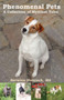 Phenomenal Pets : A Collection of Mystical Tales
