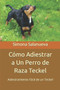 Como Adiestrar a Un Perro de Raza Teckel : Adiestramiento Facil de un Teckel