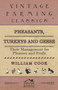 Pheasants, Turkeys and Geese : Their Management for Pleasure and Profit