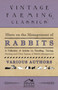Hints on the Management of Rabbits - A Collection of Articles on Handling, Taming, Nursing and Other Aspects of Rabbit Management