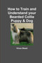 How to Train and Understand Your Bearded Collie Puppy & Dog