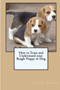 How to Train and Understand Your Beagle Puppy or Dog