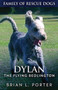 Dylan - The Flying Bedlington : 6