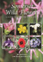 Somerset Wild Flowers : A Guide to Their Identification