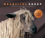 Beautiful Sheep : Portraits of champion breeds