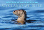 Scotland's Wildlife: Picturing Scotland : A photographic celebration of Caledonia's creatures, great and small