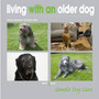 Living with an Older Dog