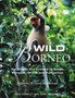 Wild Borneo : The Wildlife and Scenery of Sabah,Sarawak, Brunei and Kallmantan